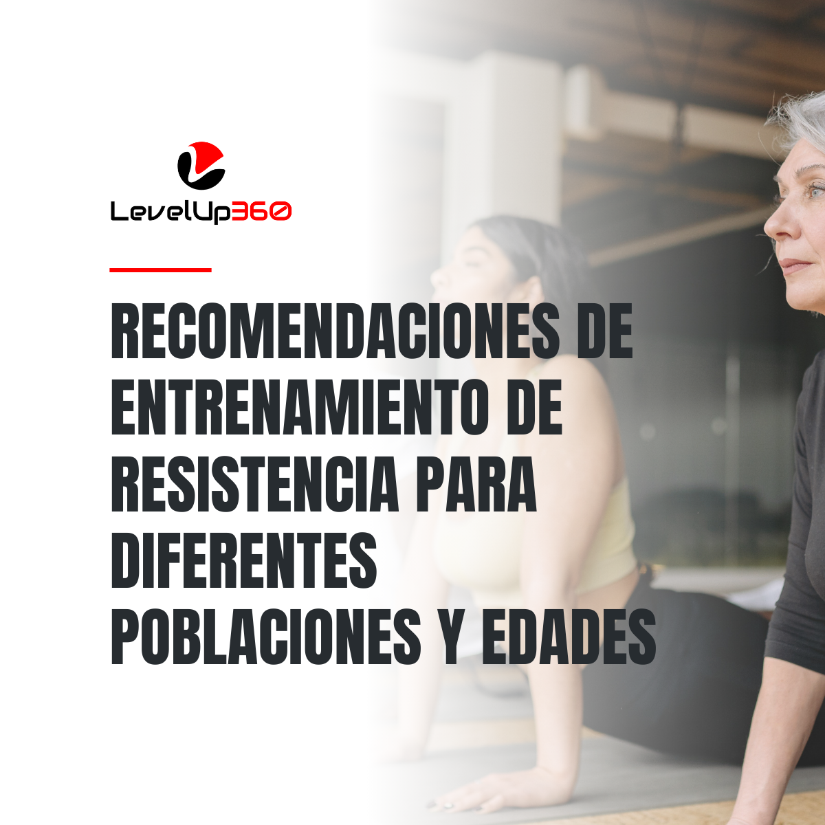 Resistance training recommendations for different populations and ages (2)