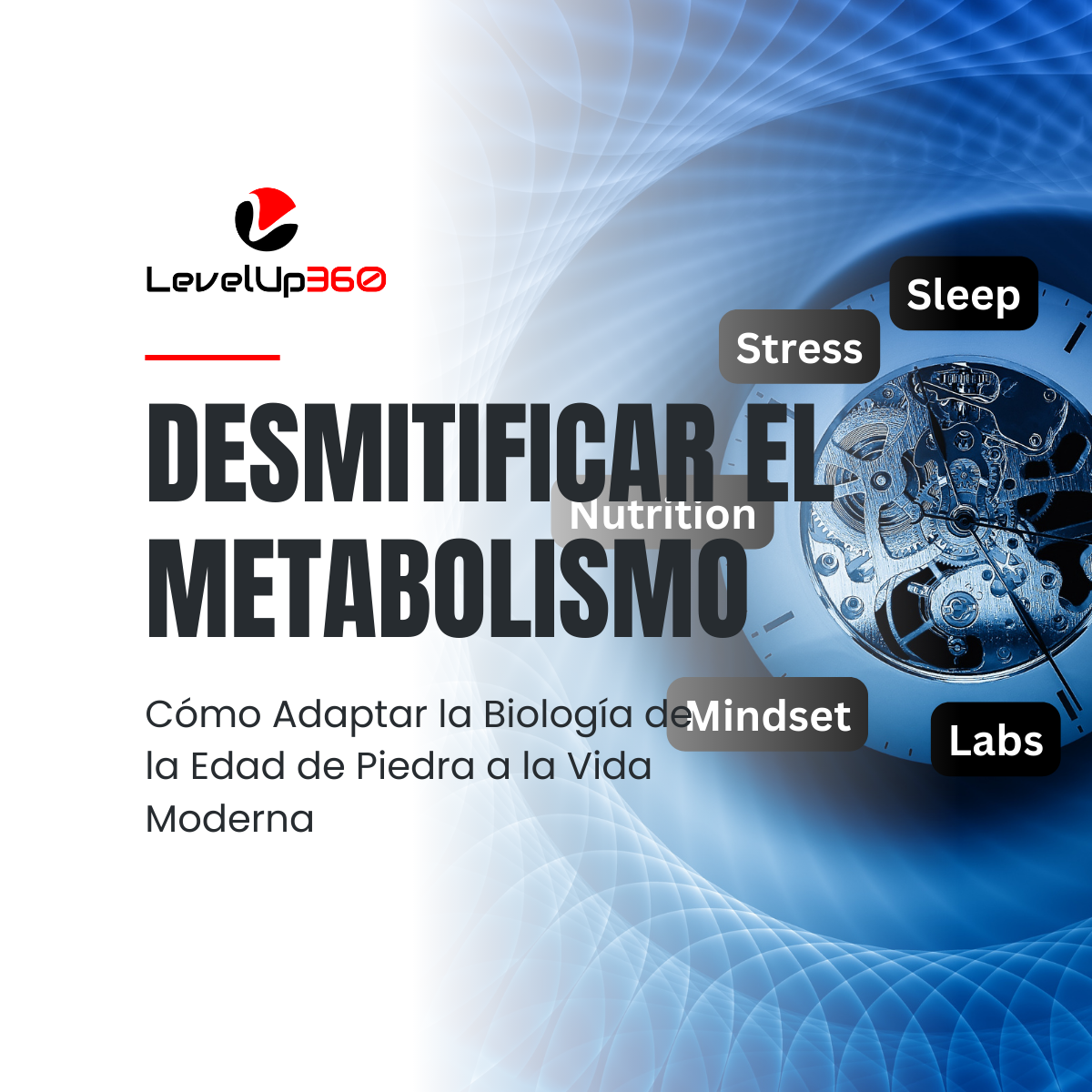 Demystifying Metabolism (2)