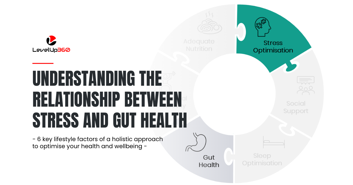 Understanding the Relationship Between Stress and Gut Health