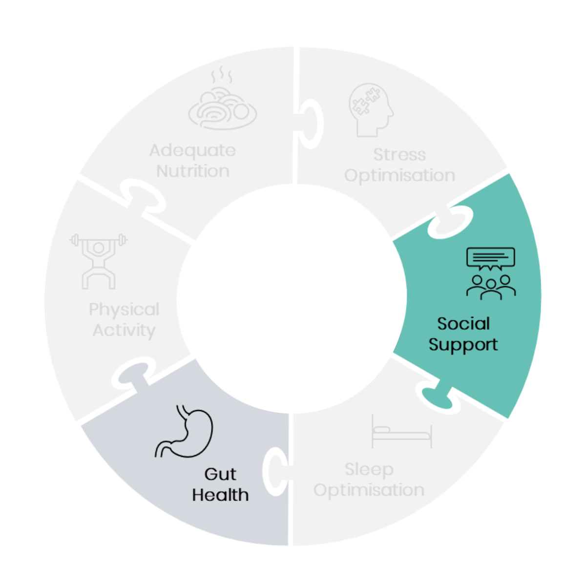 Understanding the relationship between social support & gut health_graphic