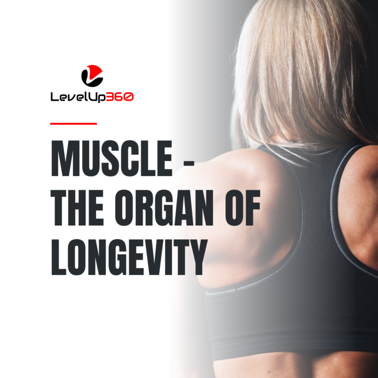 Muscle–The organ of longevity (2)