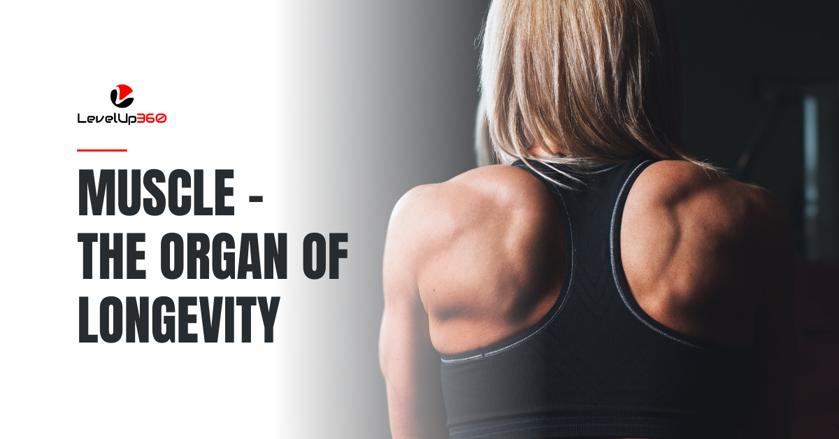 Muscle–The organ of longevity