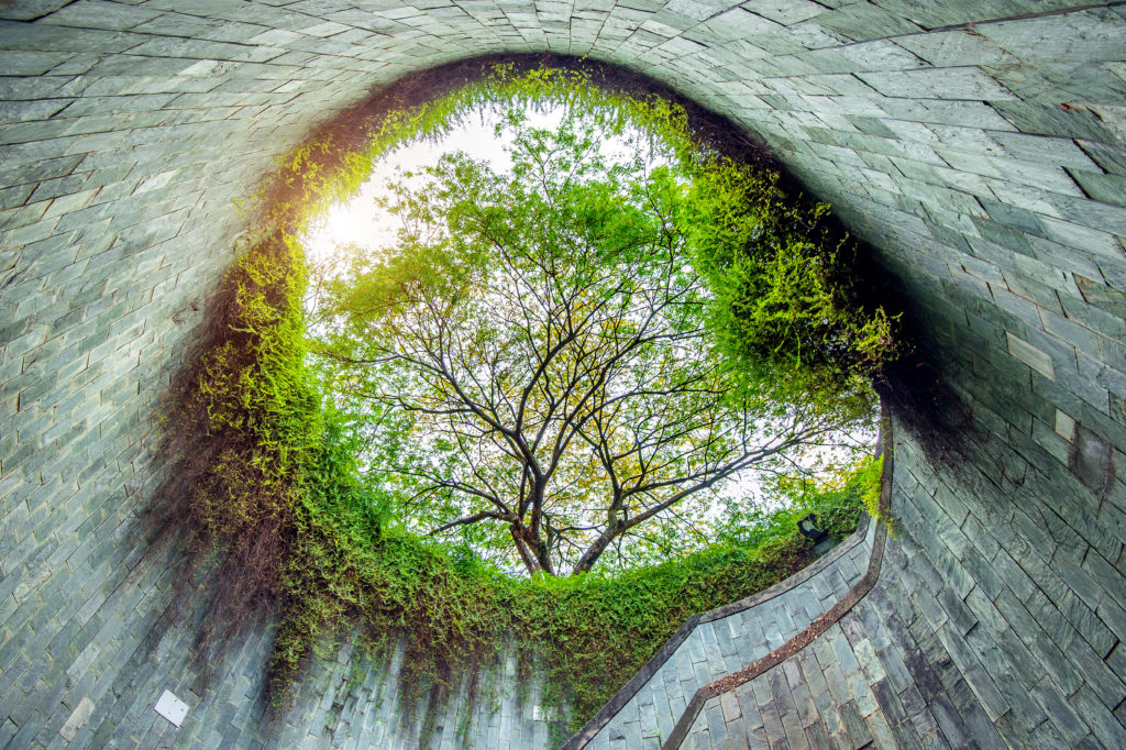 Fort Canning Park, Singapore.