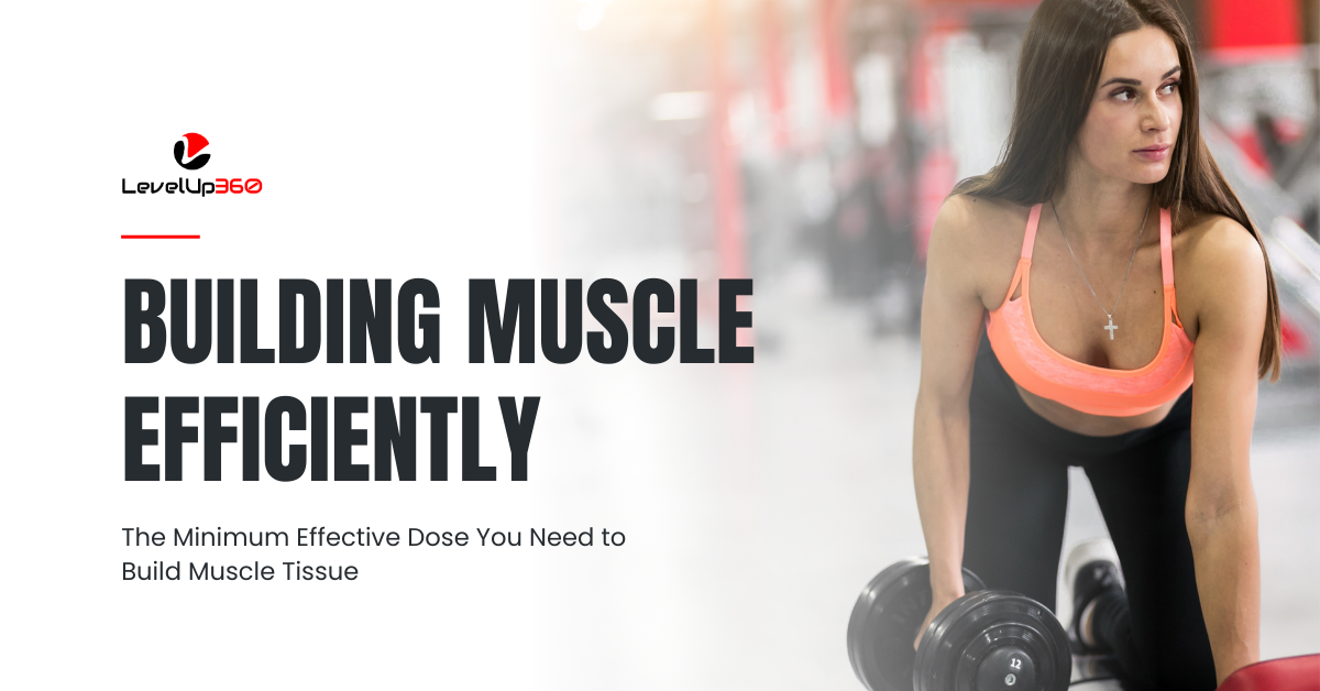 Building Muscle Efficiently